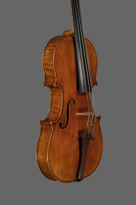 viola