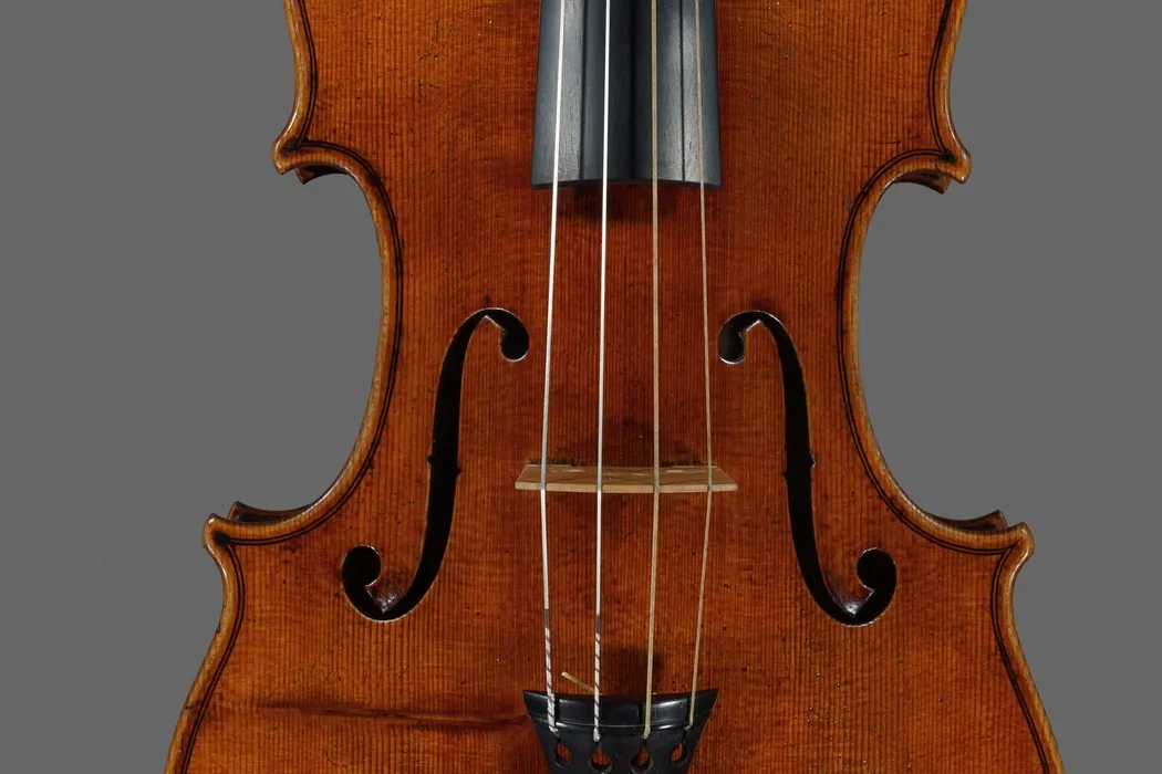 viola