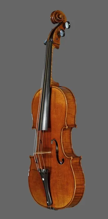 viola