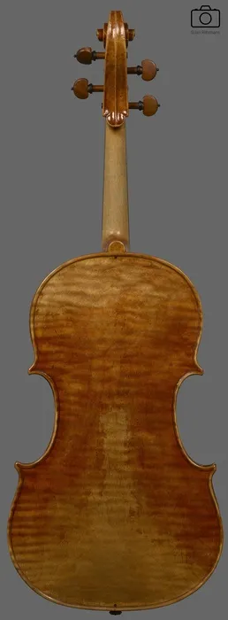 viola