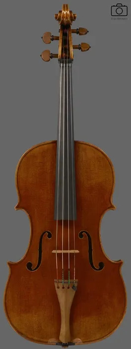 viola