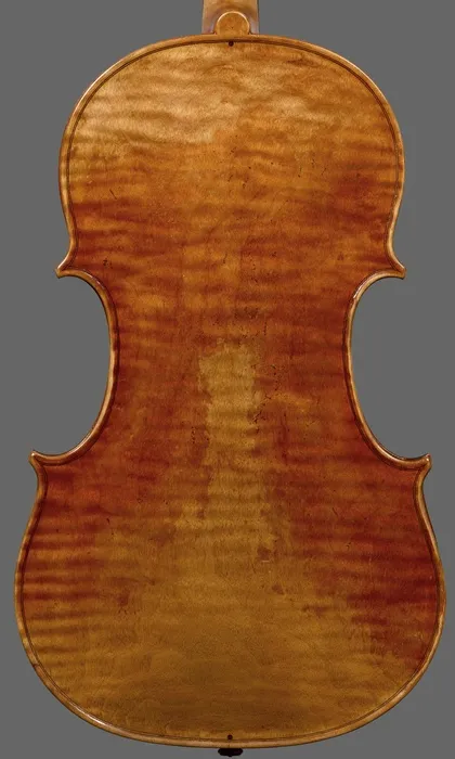viola