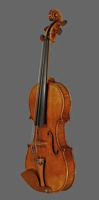 violin