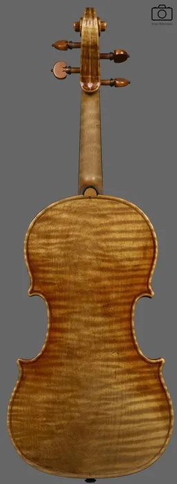 violin