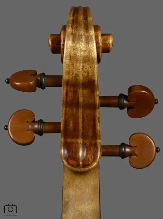 violin