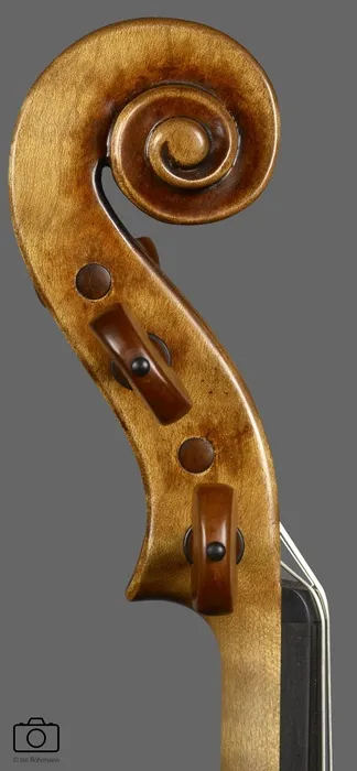 violin